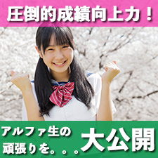 アルファ生 成績発表